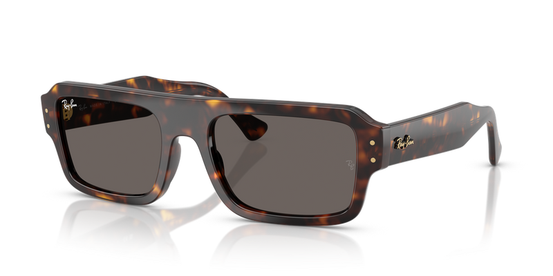 Ray-Ban FLACKO in Havana / Dark Grey (1359B1) - Alternate View