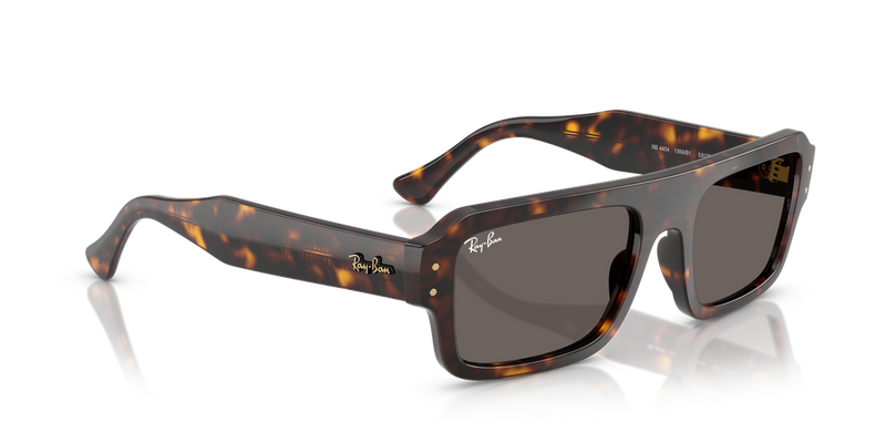 Ray-Ban FLACKO in Havana / Dark Grey (1359B1) - Alternate View