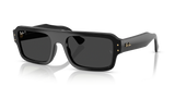 Black / Polarized Black (667748)