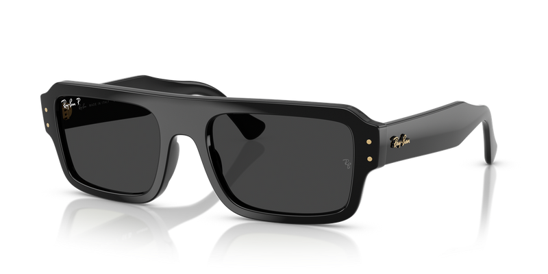 Ray-Ban FLACKO in Black / Polarized Black (667748) - Alternate View