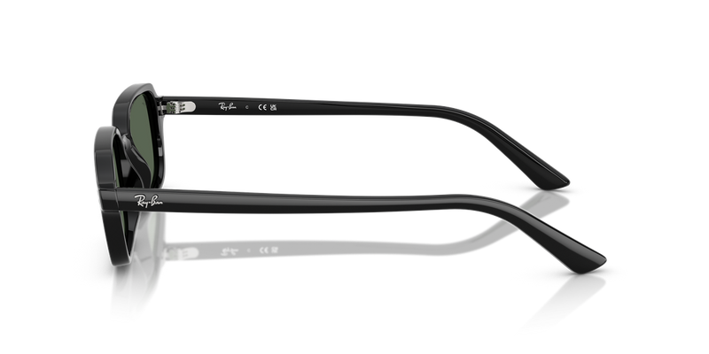 Ray-Ban ZURI in Black - Back View