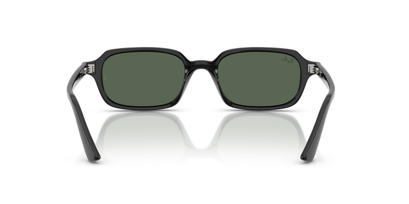 Ray-Ban ZURI in Black - Temple Detail