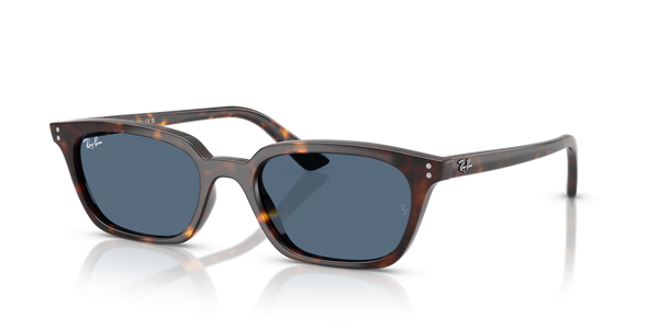 Ray-Ban ZAYA