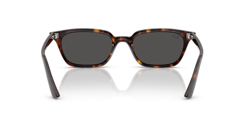 Ray-Ban ZAYA in Havana / Dark Grey (135987) - Alternate View