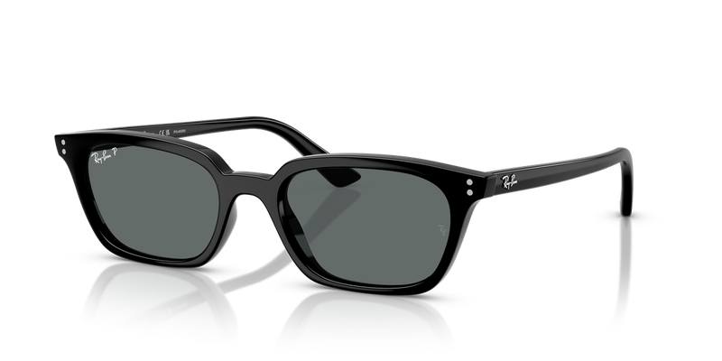 Ray-Ban ZAYA in Black / Dark Grey Polarized (667781) - Alternate View