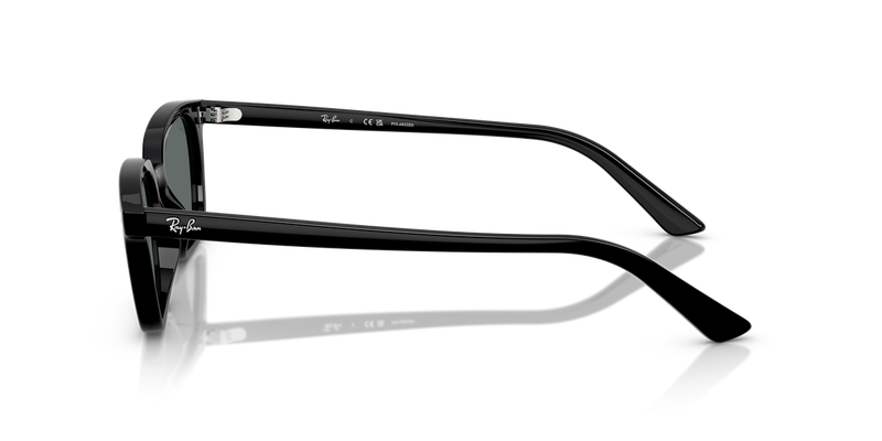 Ray-Ban ZAYA in Black / Dark Grey Polarized (667781) - Alternate View