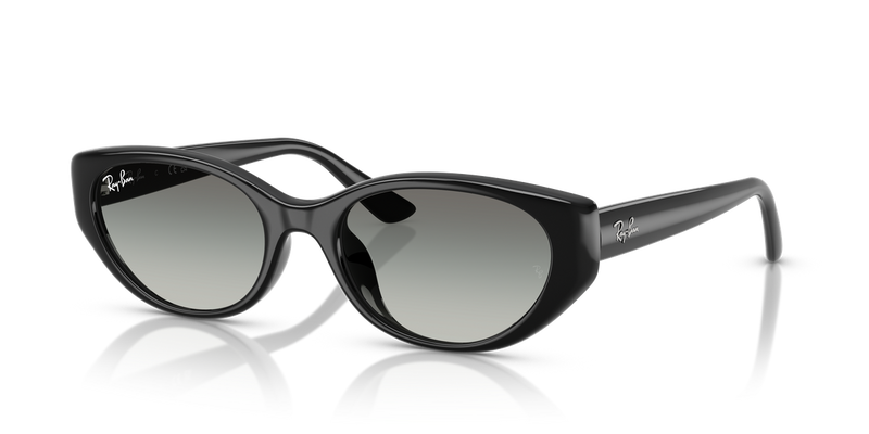 Ray-Ban RB4457D in Black / Grey Gradient (667711) - Alternate View