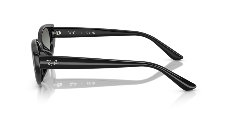 Ray-Ban RB4457D in Black / Grey Gradient (667711) - Alternate View