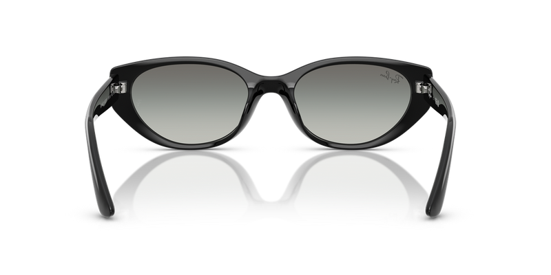 Ray-Ban RB4457D in Black / Grey Gradient (667711) - Alternate View