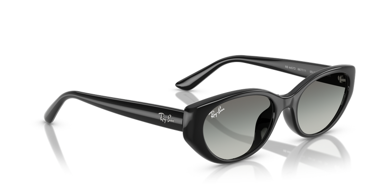 Ray-Ban RB4457D in Black / Grey Gradient (667711) - Alternate View