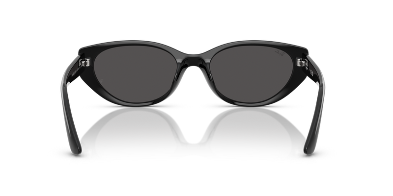 Ray-Ban RB4457D in Black / Dark Grey (667787) - Alternate View