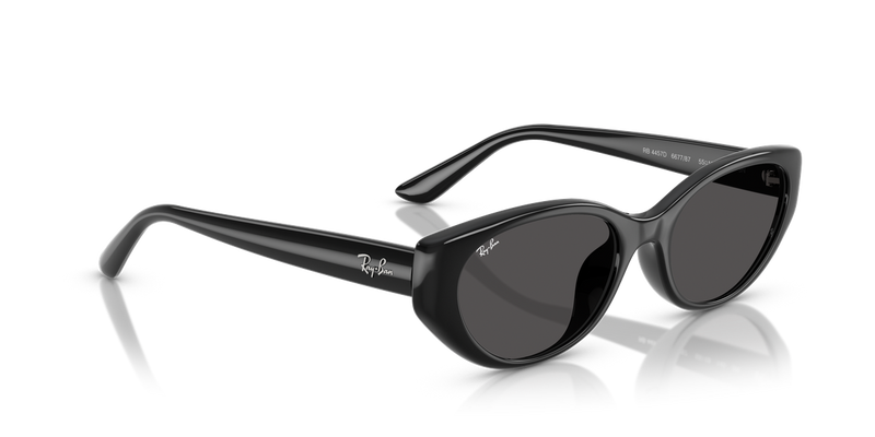 Ray-Ban RB4457D in Black / Dark Grey (667787) - Alternate View