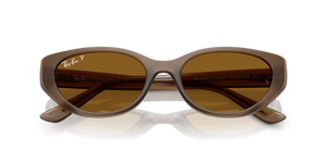 Transparent Brown / Dark Brown Polarized (677983)