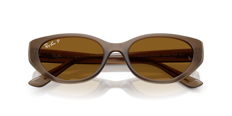 Ray-Ban RB4457D in Transparent Brown / Dark Brown Polarized (677983) - Side View
