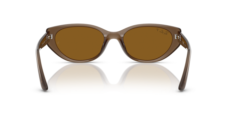 Ray-Ban RB4457D in Transparent Brown / Dark Brown Polarized (677983) - Temple Detail