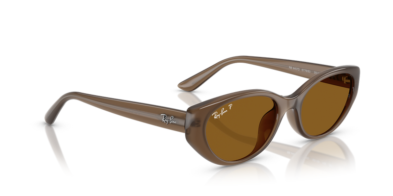 Ray-Ban RB4457D in Transparent Brown / Dark Brown Polarized (677983) - Alternate View