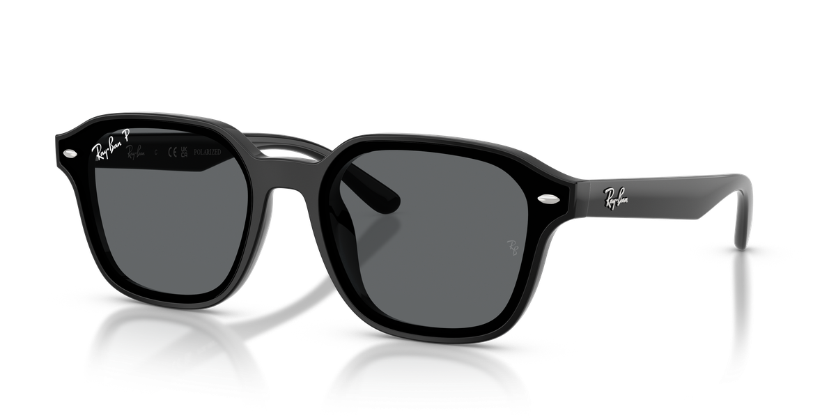 Ray-Ban RB4458D