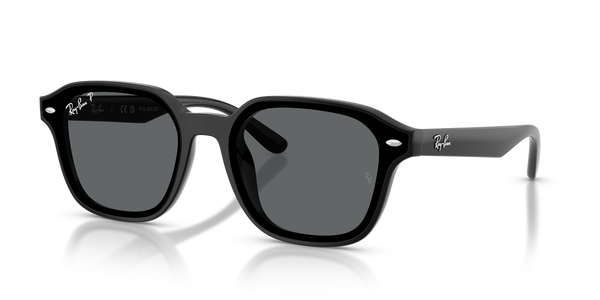 Ray-Ban RB4458D