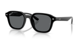 Black / Dark Grey Polarized (601/81)