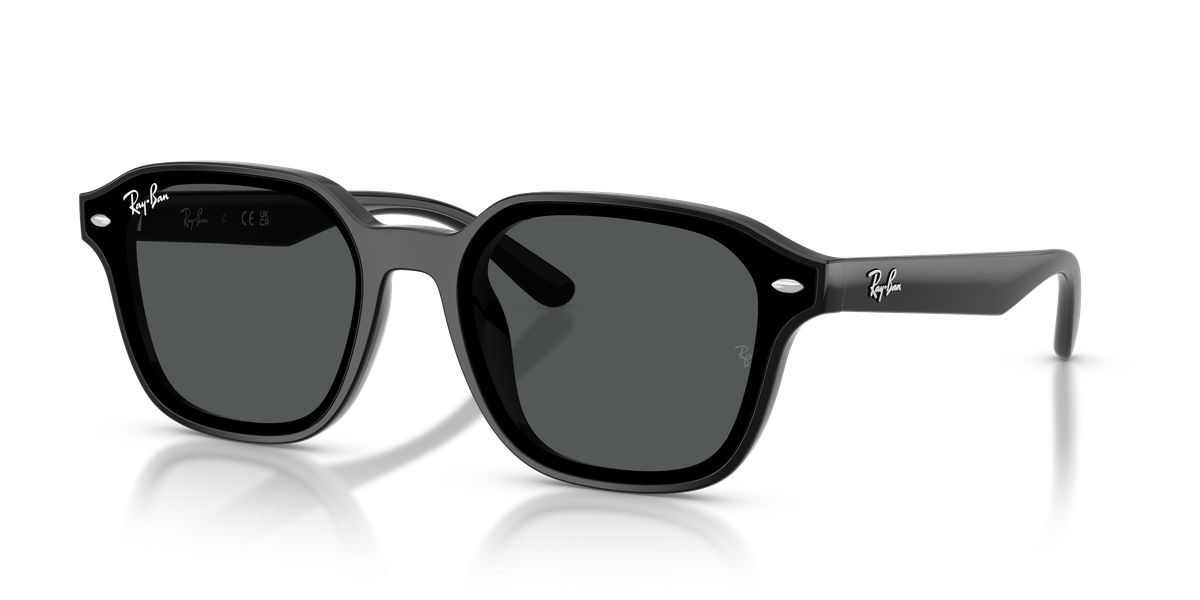Ray-Ban RB4458D