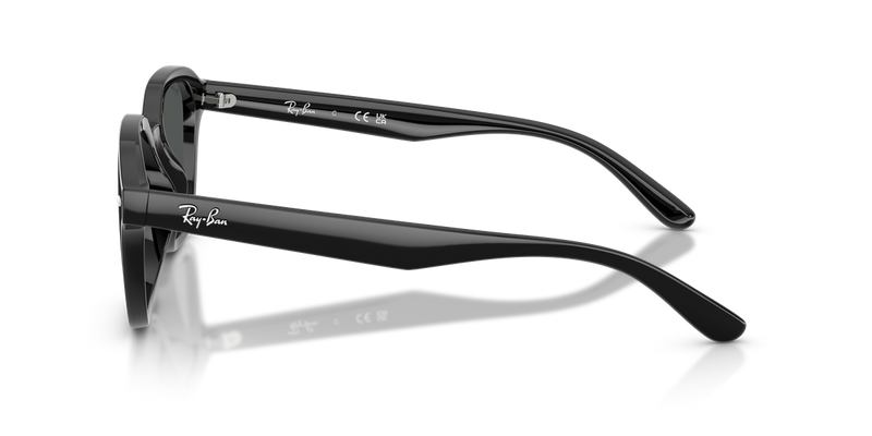 Ray-Ban RB4458D in Black / Dark Grey (601/87) - Alternate View
