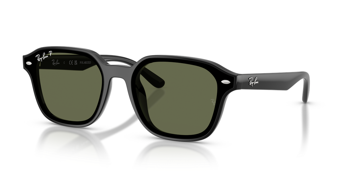 Ray-Ban RB4458D