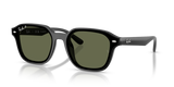 Black / Dark Green Polarized (601/9A)