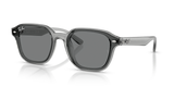 Transparent Grey / Dark Grey (645087)