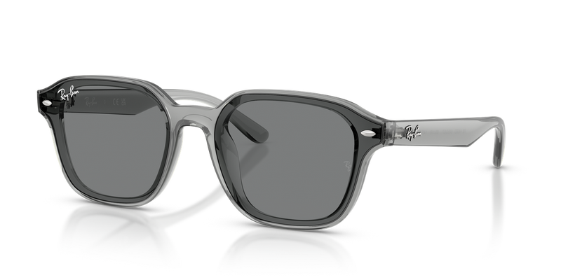 Ray-Ban RB4458D in Transparent Grey / Dark Grey (645087) - Alternate View