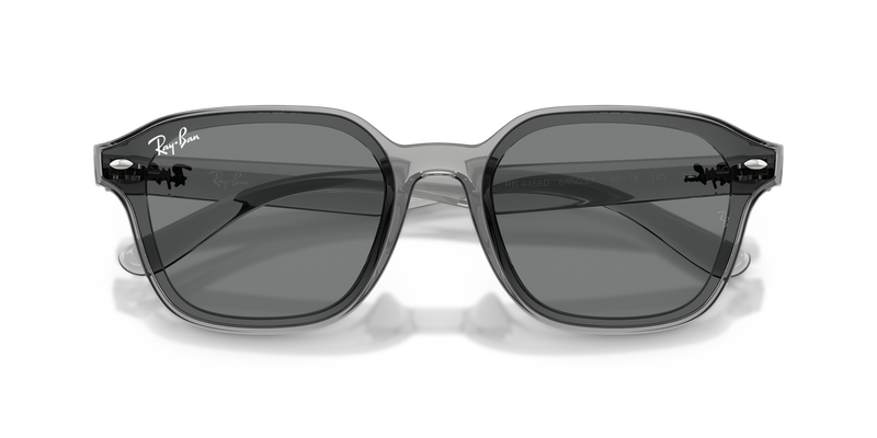 Ray-Ban RB4458D in Transparent Grey / Dark Grey (645087) - Alternate View