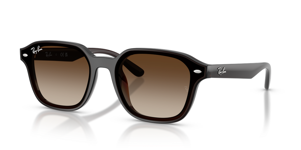 Ray-Ban RB4458D
