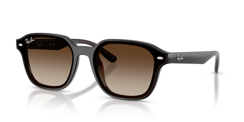 Ray-Ban RB4458D in Transparent Dark Brown / Gradient Brown (714/13) - Alternate View