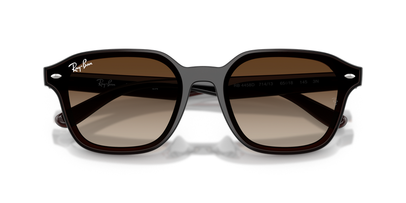 Ray-Ban RB4458D in Transparent Dark Brown / Gradient Brown (714/13) - Alternate View