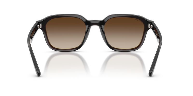 Ray-Ban RB4458D in Transparent Dark Brown / Gradient Brown (714/13) - Alternate View