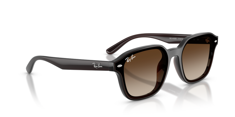 Ray-Ban RB4458D in Transparent Dark Brown / Gradient Brown (714/13) - Alternate View