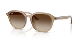 Turtledove / Gradient Brown (616613)