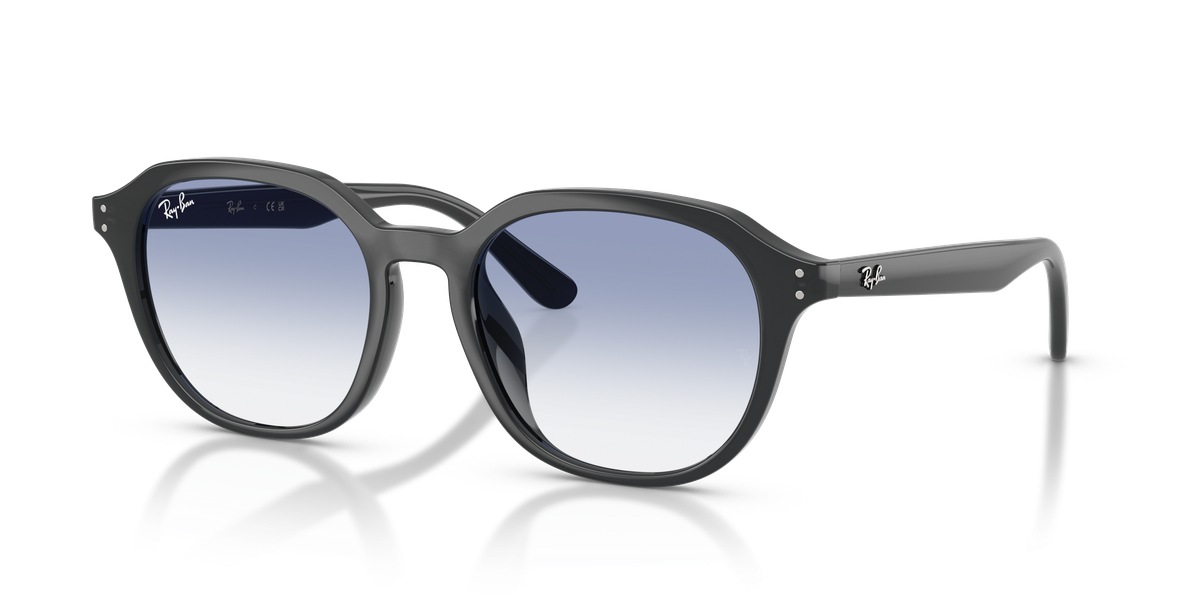 Ray-Ban RB4459D