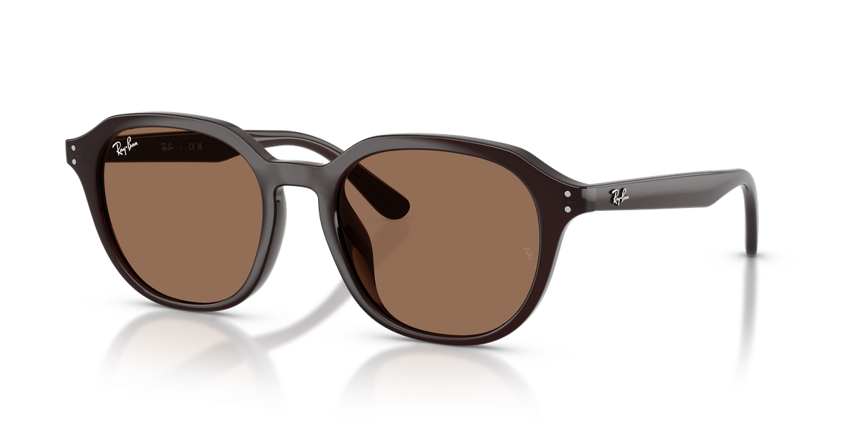 Ray-Ban RB4459D