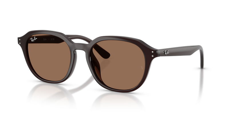 Ray-Ban RB4459D in Opal Brown - Alternate View