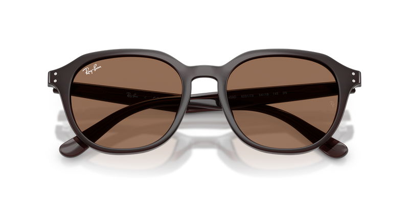 Ray-Ban RB4459D in Opal Brown - Alternate View