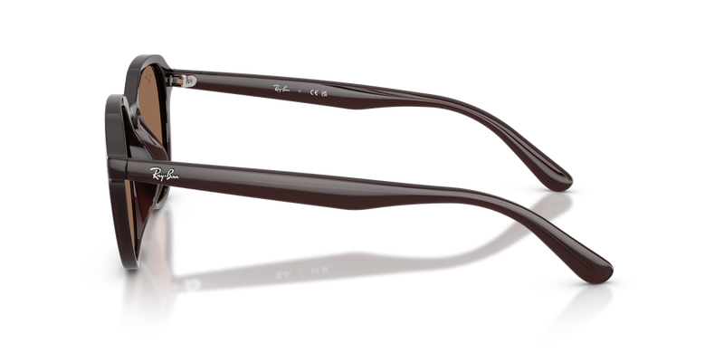 Ray-Ban RB4459D in Opal Brown - Alternate View