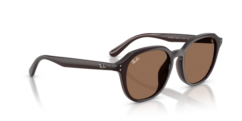 Ray-Ban RB4459D in Opal Brown - Alternate View
