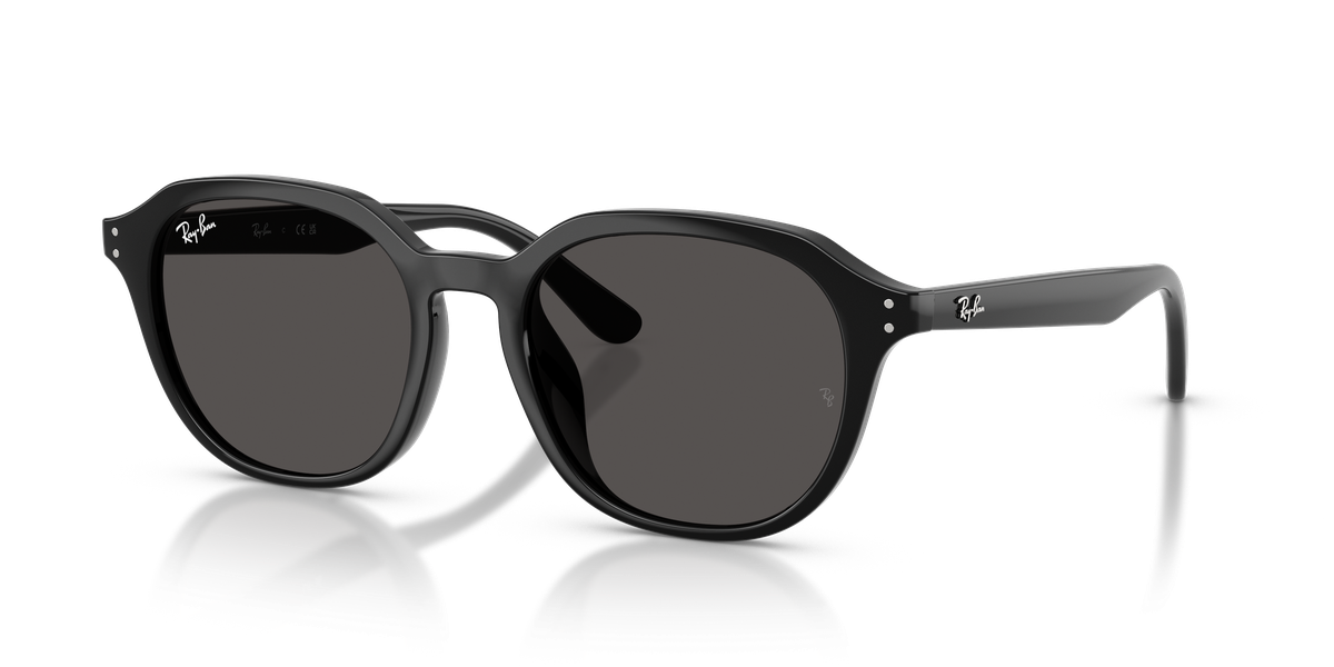 Ray-Ban RB4459D