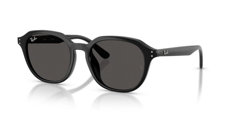 Ray-Ban RB4459D in Black - Alternate View