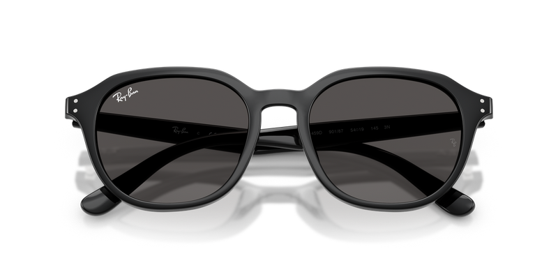 Ray-Ban RB4459D in Black - Alternate View