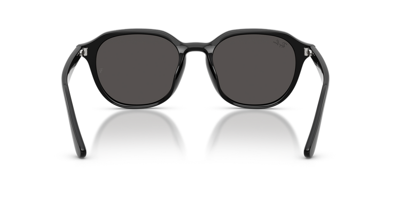 Ray-Ban RB4459D in Black - Alternate View