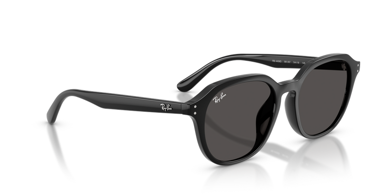 Ray-Ban RB4459D in Black - Alternate View