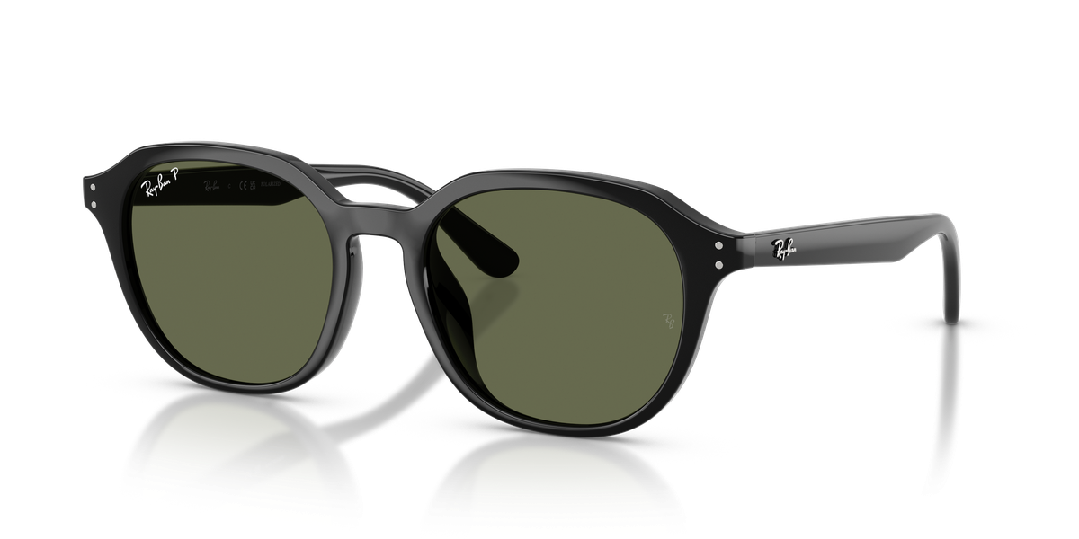 Ray-Ban RB4459D