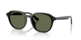 Black / Dark Green Polarized (901/9A)
