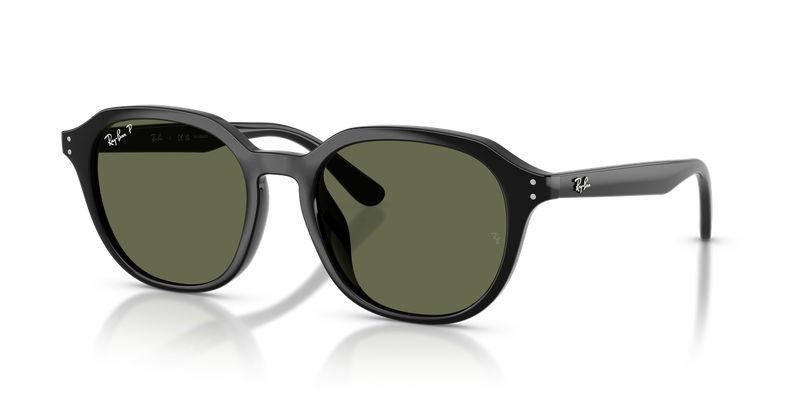 Ray-Ban RB4459D in Black - Alternate View